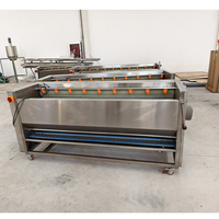RVS hogecapaciteitsmachine voor het wassen en schillen van Ierse cassave, zoete aardappel, wortel, gember en kurkuma