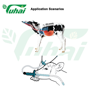 Equipo para Granjas Lecheras, Biberón para Alimentación de Terneros en Suministros de Alimentación, Tubo Corto de Acero Inoxidable de 0.535 kg, 1 Galón, Fácil de Limpiar, PE - Product Image 3