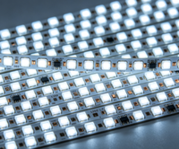 Bande lumineuse LED 5050 en cuivre DC24V, 120 LED/m, indice de protection IP20, pour éclairage extérieur de jardin