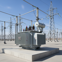Transformateur de distribution immergé dans l'huile S13 50kVA-100kVA 10/11kV vers 400V triphasé certifié CE IEC