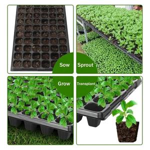 Black <strong>10x20</strong> Cell Plastic Seedling Starter <strong>Tray</strong> for Microgreens Plant <strong>Growing</strong> Watering &amp; Irrigation <strong>Tray</strong> - Product Image 5