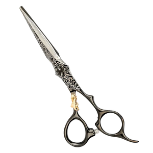 Ensemble de ciseaux de coiffure en acier inoxydable, ciseaux de coupe et de texturage pour salon, kit d'outils de barbier pour usage professionnel des stylistes - Product Image 1