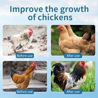 Booster de croissance pour poulets de chair Additif alimentaire pour volaille Gain de poids pour poulet Engraissement Promoteur Vitamine Qualité alimentaire Améliorer la qualité de la viande