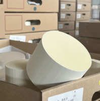 Substrato Catalitico in Ceramica a Nido d'Ape in Cordierite per DPF DOC SCR, per Purificatore Gas di Scarico Auto, Motore a Benzina, Emissioni Euro IV