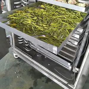 Essiccatore 10 m2 di alta qualità per la linea di produzione di essiccazione della frutta di frutta e verdura essiccatore sottovuoto industriale