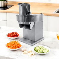 Machine à couper les légumes et les fruits en acier inoxydable, outil de transformation des légumes multifonctionnel, machine à râper et à trancher les pommes de terre