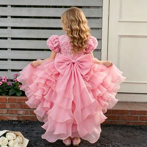 Robe de bal en tulle style princesse pour filles, robe de demoiselle d'honneur rose avec volants et broderies, hiver 2025 - Product Image 2