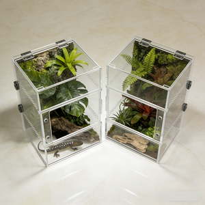 Wholesale Custom Fluorescent Yellow Magnetic Acrylic Reptile Feeding Box Eco Friendly for Small Animal Terrarium Cage - Product Image 5