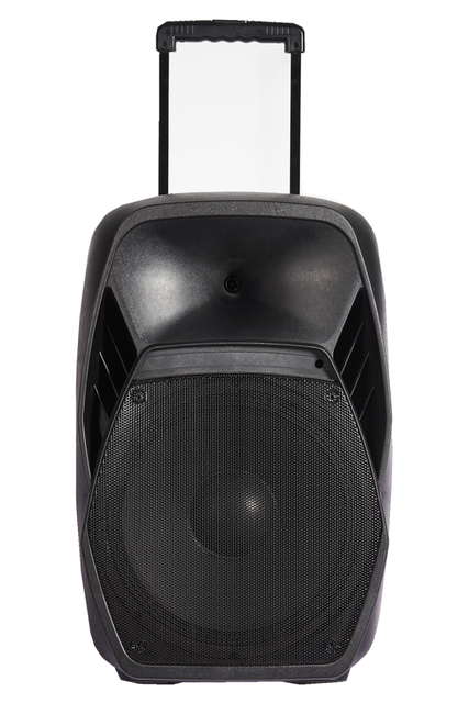 15 Inch Portable Trolley PA Speaker 60W RMS Class D Active Speaker With 2 VHF Wireless Microphone Rechargeable for Outdoor Event