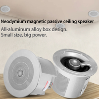 Haut-parleur coaxial passif encastrable de 4 pouces à aimant néodyme 30W 8Ohm pour musique d'ambiance, usage domestique et commercial