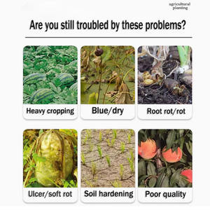 Produto De Microorganismo De Grau Agrícola De Alta Qualidade Azotobacter Powder Baixa Toxicidade Fornecedor Profissional De Alta Eficiência - Product Image 3