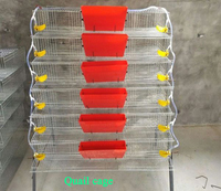 Système d'alimentation automatique à 6 pneus de type H pour cage à cailles pour œufs