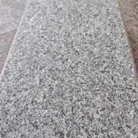 Paneles de Revestimiento de Paredes y Baldosas de Piso a Precios Ultrabajo, Hechos de Piedra de Granito Gris Natural