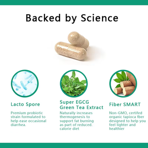 Cápsulas Vegetales de Fibra Prebiótica de Marca Propia, 120 Unidades, con Extracto de Té Verde, Beneficios Clave para Adultos, Mejora la Digestión - Product Image 5