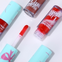 Lot de rouges à lèvres bicolores hydratants et longue tenue, gloss spirale pour maquillage des lèvres en gros