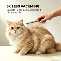 Fabricant Vérifié – Kit de Toilettage 3-en-1 pour Animaux de Compagnie – Râteau Démêlant et Peigne Anti-Puces en Acier Inoxydable – Certifié CE, RoHS, ISO9001 – Pour Chiens et Chats – 9