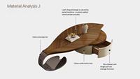 Ensemble de tables basses modernes et luxueuses de style minimaliste en forme de feuille, table basse de salon avec tiroirs, table basse durable