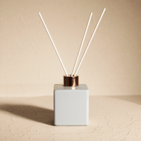 Bouteilles diffuseurs de parfum carrées en verre transparent noir avec couvercle en bois, logo personnalisé, conteneur diffuseur d'arômes de luxe vide, vente en gros OEM