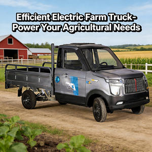 Camionnette électrique à faible consommation d'énergie, nouvelle génération, petite camionnette, charge en 6 heures, vitesse 50 km/h - Product Image 6