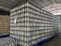 Boissons gazeuses à faible teneur en sucre aromatisées aux fruits en bouteille PET de 350 ml pour la vente en gros aux supermarchés
