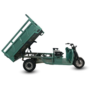 Triciclo Agrícola Eléctrico Práctico Holladay de 2 Plazas y Carrocería Abierta, Capacidad de Carga de 500 kg, 3 Ruedas, Bicicleta Eléctrica de Carga <span class=keywords><strong>Volta</strong></span> para Adultos - Product Image 2