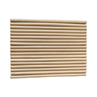 Bâtonnets de crème glacée jetables en bois de bouleau naturel, biodégradables, écologiques, économiques, pour café