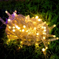Guirlande LED décorative extérieure étanche IP65 de 10 m en plastique, alimentée par courant alternatif, blanc chaud, pour mariage, fêtes, paysage, rideau de jardin, effet glaçon féerique