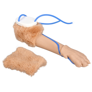 Modelo de entrenamiento para inyecciones IV en patas caninas, simulador realista de venopunción en patas de perro con venas reemplazables - Product Image 4
