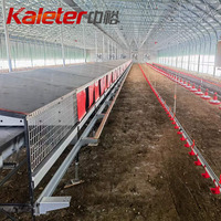 Système de poule Boîte de nidification Éleveurs Nid central Machine de collecte automatique ferme avicole équipement pour poules pondeuses Rouleau pour