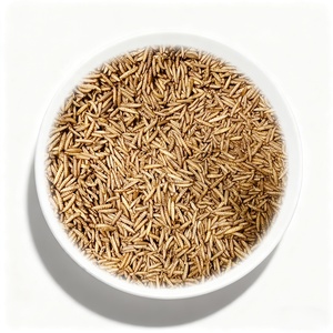 อาหารสำหรับสัตว์เลื้อยคลาน ไบโอฟอร์เต้ ตัวอ่อนแมลงวันดำอบแห้ง โปรตีนสูง ฆ่าเชื้อด้วยไมโครเวฟ ไม่มีกลิ่น สำหรับกิ้งก่ามีหนวดและกิ้งก่าเสือดาว - Product Image 1