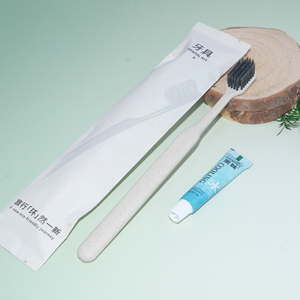 Eco-friendly Sugarcane Paper <strong>Set</strong> Series of Disposable Hotel Consumables - Product Image 4
