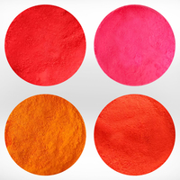 Poudre néon fluorescente à base de solvant, 12 couleurs, pour résine