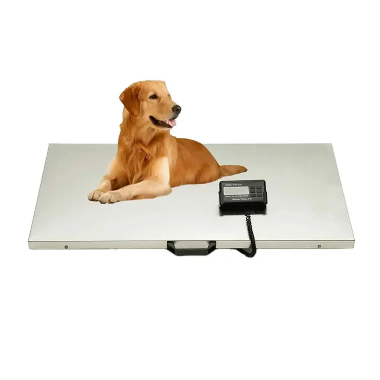 PCR-500 104*52CM 500KG 300KG Grande plate-forme électronique chien échelle, échelle animale, balance postale