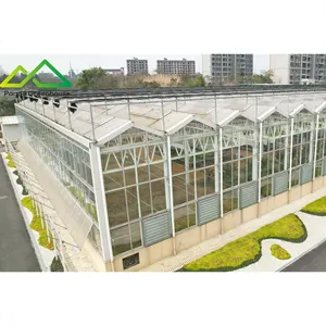 Hot bán venlo loại nông nghiệp thương mại Tempered Glass nhà kính với hydroponics phát triển hệ thống