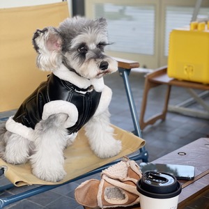 Chaqueta Clásica de Invierno para Perros, Abrigo Grueso sin Mangas para Teddy, Schnauzer, Bichón, Maltese, <span class=keywords><strong>Yorkshire</strong></span>, Hecho de Poliéster - Product Image 3