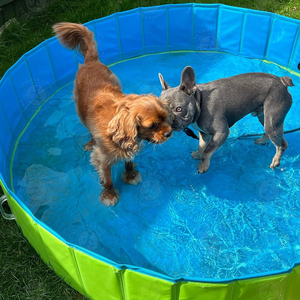 Baignoire pliable <span class=keywords><strong>en</strong></span> <span class=keywords><strong>plastique</strong></span> <span class=keywords><strong>dur</strong></span> <span class=keywords><strong>pour</strong></span> chat et animaux de compagnie pataugeoire <span class=keywords><strong>piscine</strong></span> <span class=keywords><strong>pour</strong></span> chiens de grande taille - Product Image 1
