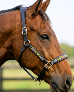 Equestrian Beautiful Handmade Vibrant Beaded Noseband Cheekpiece Soft Leather Padded Halter <b>Black</b> Comfortable Durable - Product Image 2