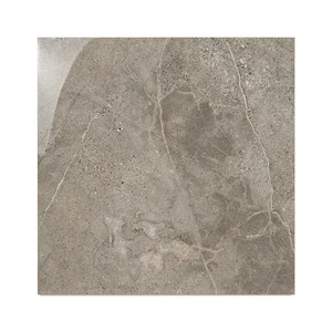 Piastrella Savona Greige 58,6 x 58,6 cm, spessore 10 mm, rettificata e lucidata, per pavimento e rivestimento - Product Image 3