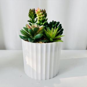 Planta Artificial <span class=keywords><strong>con</strong></span> Patrón <span class=keywords><strong>de</strong></span> Rayas Verticales en Maceta, Decoración <span class=keywords><strong>de</strong></span> <span class=keywords><strong>Mesa</strong></span> para San Valentín - Product Image 6