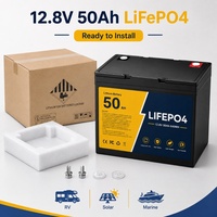بطارية ليثيوم دقيقة 12.8 فولت 50 أمبير ساعة LiFePO4 ذات دورة عميقة مع نظام إدارة البطارية (BMS) لتخزين الطاقة الشمسية في المخيمات
