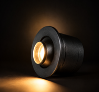 Lampe LED encastrée pour armoire 1W OEM/ODM CRI90 USA Aluminium Noir Découpe 30mm 25mm pour Maison Hôtel