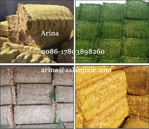 Máquina Empacadora Hidráulica de Paja de Maíz para Ensilaje, Empacadora Cuadrada de Heno, Máquina Empacadora de Paja de Arroz para Ensilaje - Product Image 6