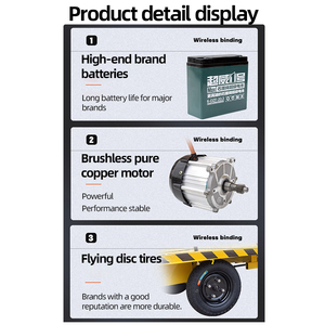 Chariot électrique de transport de marchandises lourdes, plateforme en plastique, trois roues, marque OEM JUNCHI, industriel, agricole - Product Image 3