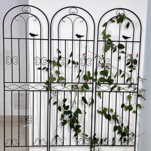 Roses grimpantes, clematis, clôtures de jardin, supports à fleurs d'extérieur, poteaux de soutien, plantes en fer forgé, grimpantes et magnifiques - Product Image 1
