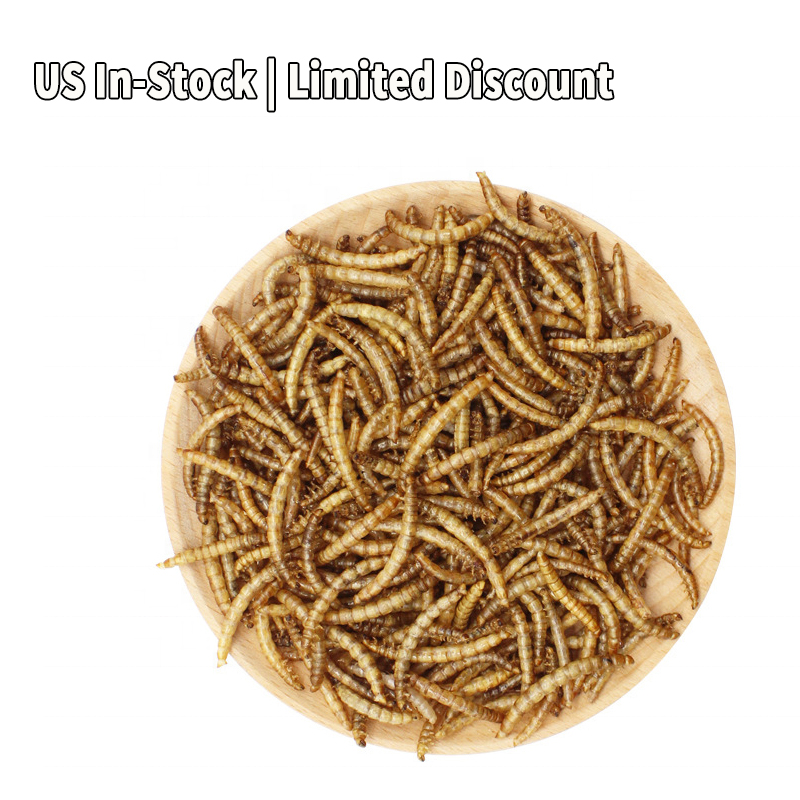 birds accessories food