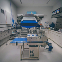 Machine à saupoudrer de graines de sésame, de sucre et de sel pour biscuits, gâteaux et cupcakes du groupe Wanli pour la production de gâteaux
