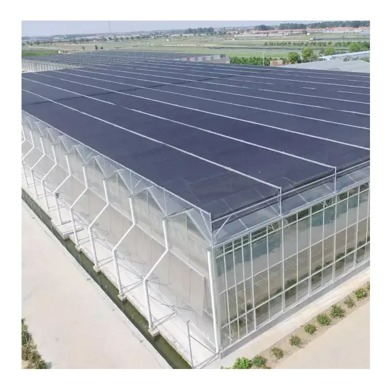 Automated Automatic Agriculture Building Commercial Farming Polycarbonate Film Climate Controlled Tomato Greenhouse