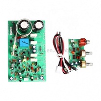 Carte d'amplificateur de caisson de basses Mono Sound 250W carte d'amplificateurs Audio haute puissance pour haut-parleurs domestiques bricolage Module d'ampli double AC22-26
