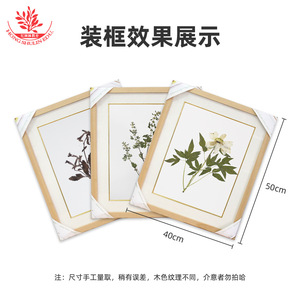 <b>Plant</b> framing, 40*50cm, gold-edged cardstock, high-end and elegant <b>plant</b> herbarium specimen imitation wood <b>frame</b>, solid wood - Product Image 5