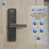 Serrure de porte électronique numérique pour portes en bois et en acier, avec mot de passe et stockage sur carte mémoire, accès au réseau WiFi, serrure intelligente